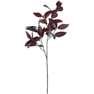 �y���ԁzYDM/���[�J���A�N���p���J�X�v���[ �o�[�K���f�B�[/FG-5224-BUR�y01�z ���ԁi�A�[�e�B�t�B�V�����t�����[�j ���ԗt���A�t�F�C�N�O���[�� ���[�J��