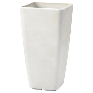 Aؔ  FV/OXNGAW/AK359y01z K[fjOE|pi t[|bg 