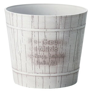 Aؔ  FV/OCT[NMW/MS1127y01z K[fjOE|pi t[|bg 