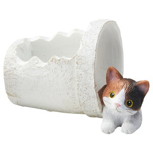 Aؔ  FV/VgJV|bg/5E3984y01z K[fjOE|pi t[|bg W