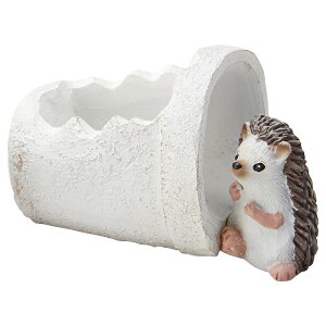 Aؔ  FV/G\JV|bg/5E3985y01z K[fjOE|pi t[|bg W