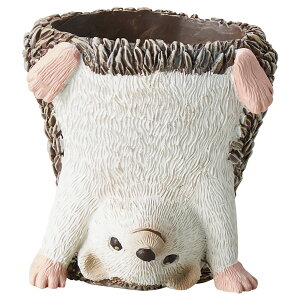 Aؔ  FV/h[G\|bg/5E4026y01z K[fjOE|pi t[|bg W