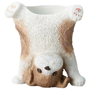 Aؔ  FV/h[V|bg/5E4027y01z K[fjOE|pi t[|bg W