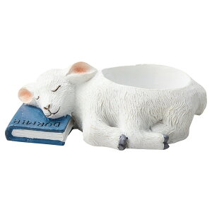 Aؔ  FV/X[vV[|bg/5E3987y01z K[fjOE|pi t[|bg W