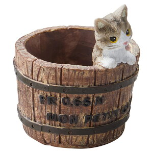 Aؔ  FV/\[Vg|bg/5E3988y01z K[fjOE|pi t[|bg W