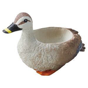 Aؔ  FV/Ji[|bg/5E3991y01z K[fjOE|pi t[|bg W