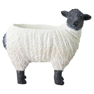 Aؔ  FV/ug|bgS/5E4036y01z K[fjOE|pi t[|bg W