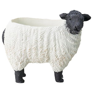 Aؔ  FV/ug|bgM/5E4037y01z K[fjOE|pi t[|bg W