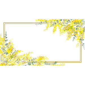 `LEO[eBOX/MtgJ[h G|725y01z bsOpi A bZ[WJ[h O[eBOJ[h