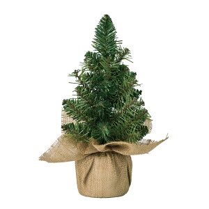 yԁz/EH[fRc[|bg~j GREEN/XV000178y01z X܃fBXvCEX NX}XfBXvC NX}Xc[