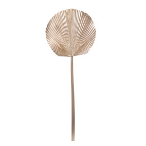 yԁzMAGIQ/OCXt@p[ CHAMPAGNE/FJ002108y01z ԁiA[eBtBVt[j ԗtAtFCNO[ V