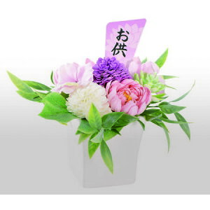 Gracias/\[vt[ sN/F-247y01z vU[uht[ tOX\[vt[ \[vt[i