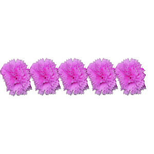 yΖӃZ[zGracias/\[vt[wbhJ[l[V/F-261y01z vU[uht[ tOX\[vt[ \[vt[ԍ