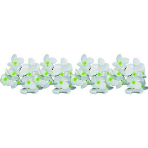 yΖӃZ[zGracias/\[vt[wbhAWTC/F-264y01z vU[uht[ tOX\[vt[ \[vt[ԍ