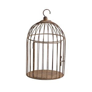 Are/BeB[Eo[hP[W/WOA-910-BRy07z X܃fBXvCEX X܃CeAEG (o[hQ[W)