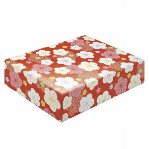 TTK/ j~ ˔/49-1722y01z bsOpi A bsOy[p[() ()