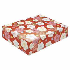 TTK/10[ j~ ˔/49-7772y01z bsOpi A bsOy[p[() ()