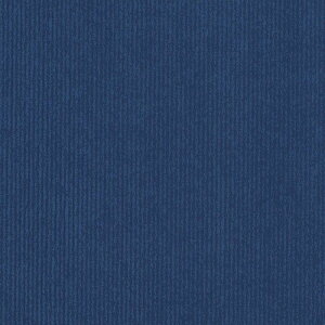 TTK/10[ } S/49-8221y01z bsOpi A bsOy[p[() ()