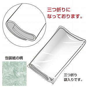 TTK/ ʗ ˔/49-1702y01z bsOpi A bsOy[p[() ()