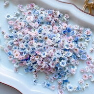 【ドライ】m flowers/かすみ草 ドライ 中サイズ 淡色ミックス【10】 ドライフラワー ドライフラワー花材 …