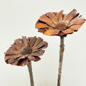 �y�h���C�z����/�X�[�p�[�J�b�g 2�{ �I�����W/67018�y01�z �h���C�t�����[ �h���C���C���h�t�����[�ԍ� ���̑�