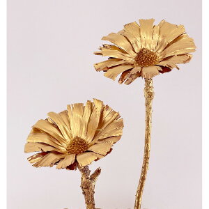 �y�h���C�z����/�X�[�p�[�J�b�g 2�{ �S�[���h/74442�y01�z �h���C�t�����[ �h���C���C���h�t�����[�ԍ� ���̑�