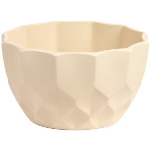 SG Wonder zone/rW[Bijoux~|bgLx[W/y07z[10] ԊA[X ԊEԕr vX`bNEANԊ