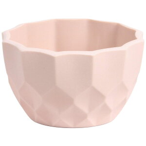 SG Wonder zone/rW[Bijoux~|bgSsN/y07z[10] ԊA[X ԊEԕr vX`bNEANԊ