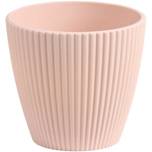 SG Wonder zone/G[Aile~|bgMsN/y07z[10] ԊA[X ԊEԕr vX`bNEANԊ