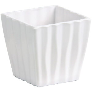 SG Wonder zone/VGCiel~|bgSzCg/y07z[10] ԊA[X ԊEԕr vX`bNEANԊ