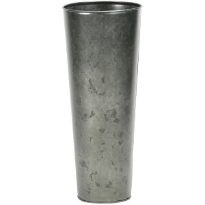 SG Wonder zone/VuLی^X^hM/y07z ԊA[X ԊEԕr uLEACA