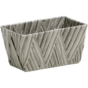 �y�Ζ����ӃZ�[���zSG Wonder zone/PE�N���X�҂݁@�p���A��3���p�O���[/�y07�z[5��] �Ԋ�A���[�X �Ԃ����E�t�����[�o�X�P�b�g ���̑� �Ԃ���