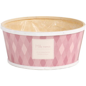 SG Wonder zone/~V[񂹔4psN/y07z ԊA[X ԊEԕr ؐԊ