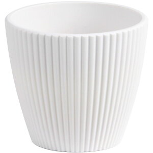 SG Wonder zone/G[Aile~|bgMzCg/y07z[10] ԊA[X ԊEԕr vX`bNEANԊ