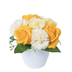 �y�\�[�v�t�����[�zHillTop/�J���e�b�g/SM-666�y01�z �v���U�[�u�h�t�����[ �t���O�����X�\�[�v�t�����[ �\�[�v�t�����[�����i