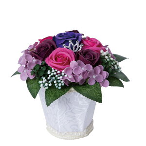 y\[vt[zHillTop/VF[hAW/SM-849y01z[3] vU[uht[ tOX\[vt[ \[vt[i