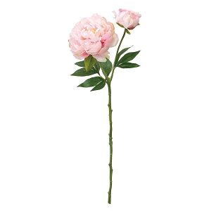 yԁzMAGIQ/v^sIj[ 2 PINK sN/FM001774-002y01z ԁiA[eBtBVt[j  ԍށusv VNNi䉖jE{^iOjEsIj[