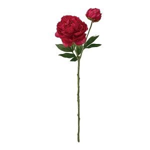 yԁzMAGIQ/v^sIj[ 3 RED bh/FM001774-003y01z ԁiA[eBtBVt[j  ԍށusv VNNi䉖jE{^iOjEsIj[