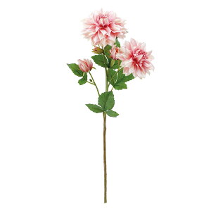 yԁzMAGIQ/tOX_A 42 PK^MV sN[u/FM001842-042y01z ԁiA[eBtBVt[j  ԍށusv _A