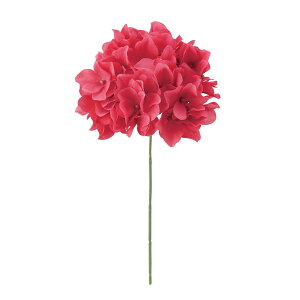 yԁzMAGIQ/AXnChWA 28 BRT^RD uCgbh/FM025048-028y01z ԁiA[eBtBVt[j  ԍށusv izԁj