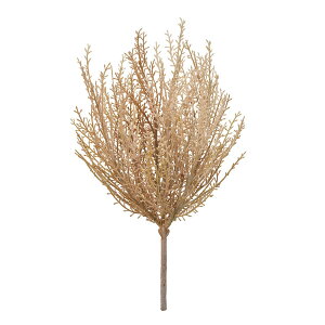 yԁzMAGIQ/RLAubV 42 MAUVE [u/FG002530-042y01z ԁiA[eBtBVt[j ԗtAtFCNO[ ̑̑ԗtEtFCNO[