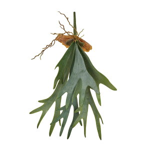 yԁzMAGIQ/REM GREEN O[/FG001990y01z ԁiA[eBtBVt[j ԗtAtFCNO[ A