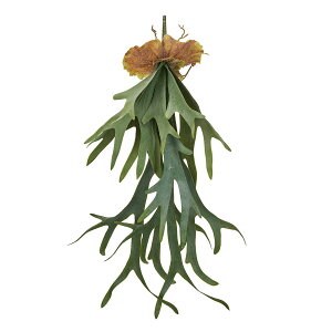 yԁzMAGIQ/REL GREEN O[/FG001991y01z ԁiA[eBtBVt[j ԗtAtFCNO[ A