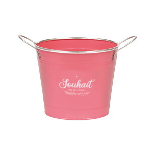 勴VX/Lbg D5/31-255y01z ԊA[X ԊEԕr uLEACA