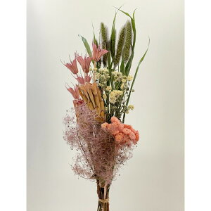 yhCz/FM날킹u[P 6A\[g TN/80720y01z hCt[ hCt[ԍ ̑hCt[