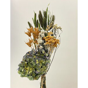 yhCz/FM날킹u[P 6A\[g n[ueB[/80721y01z hCt[ hCt[ԍ ̑hCt[