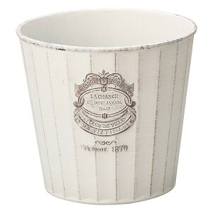 Aؔ  FV/VXOSW/MS1175y01z K[fjOE|pi t[|bg 