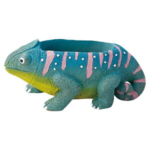 Aؔ  FV/JI|bgBL/5E4065y01z K[fjOE|pi t[|bg W