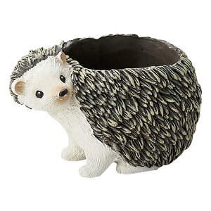 Aؔ  FV/Gb\hDReS/5E4071y01z K[fjOE|pi t[|bg W