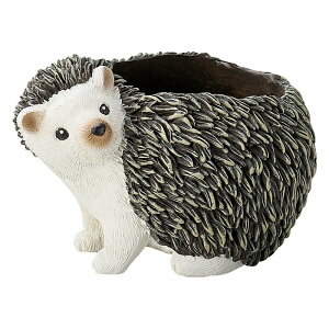 Aؔ  FV/Gb\hDReM/5E4072y01z K[fjOE|pi t[|bg W